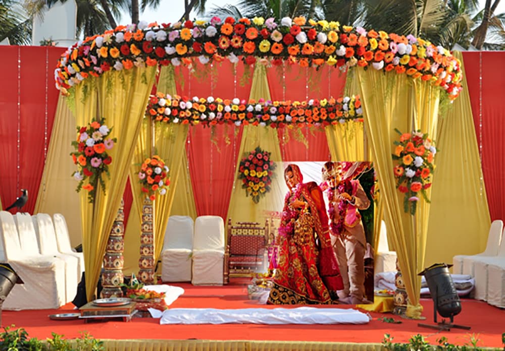 Premium Floral Walkway